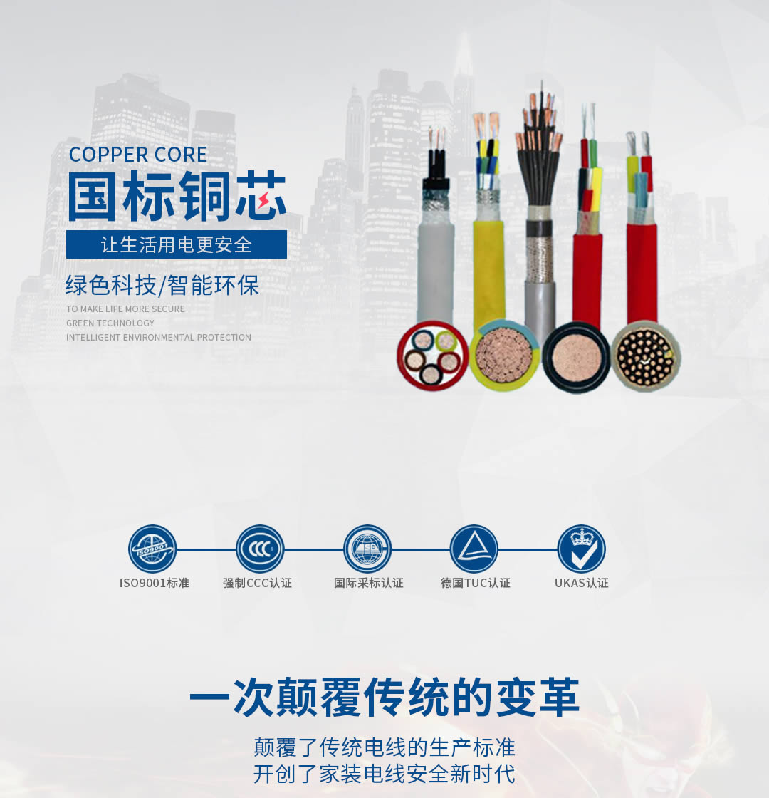 四川特變電工 四川特變電工